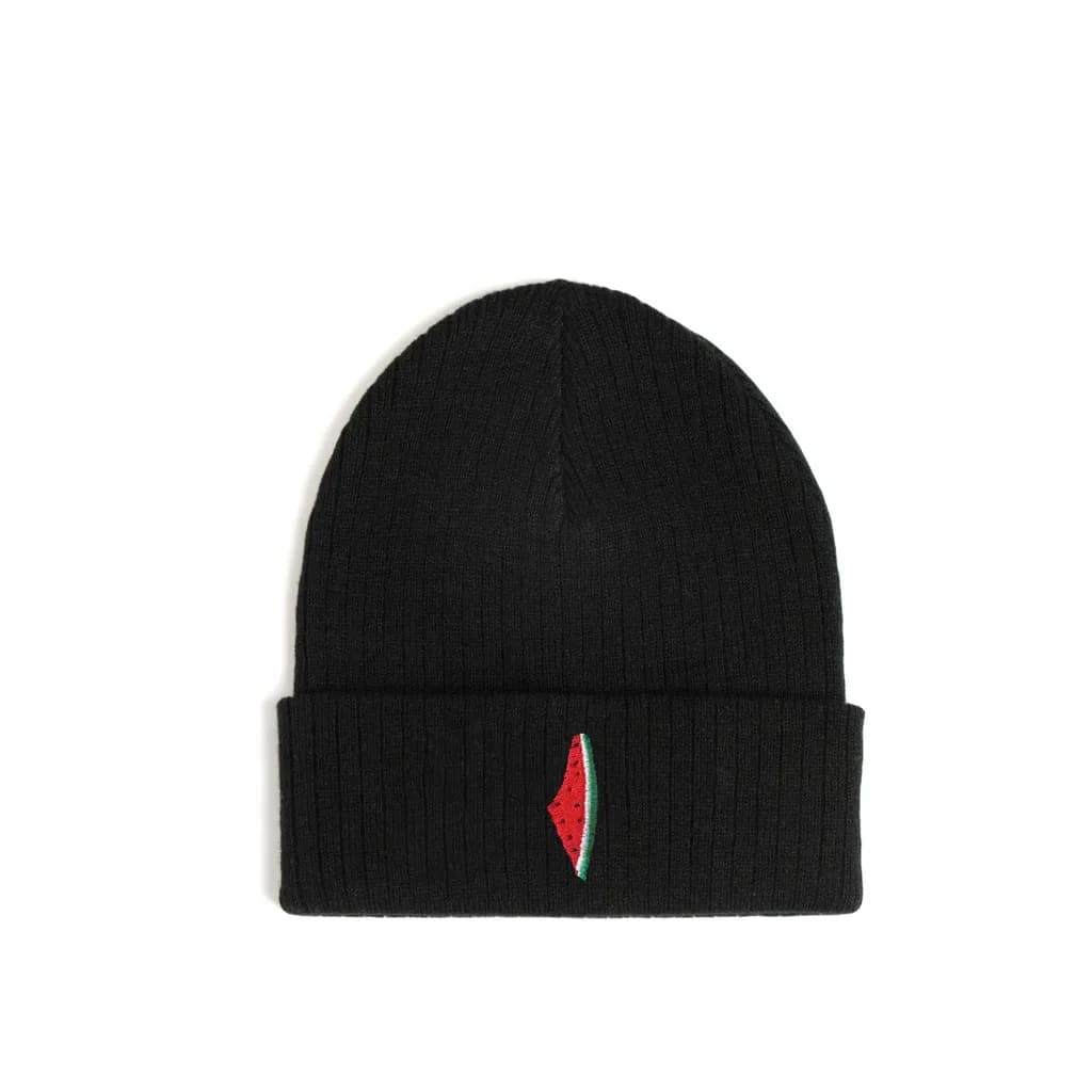 Freedom Melon embroidered beanie in a folded knit style